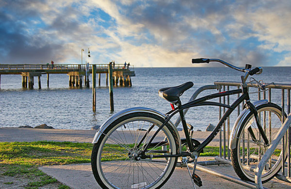 Top Five Bike Trails Around South Tampa | Altura